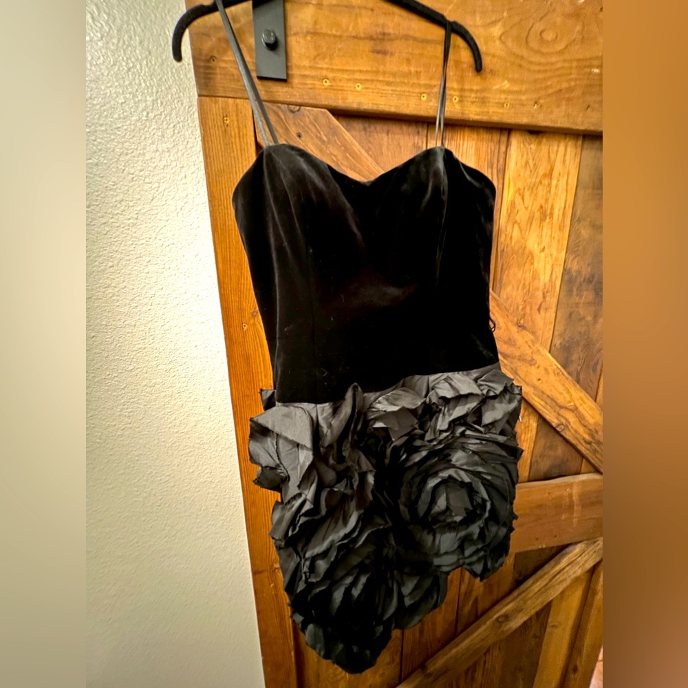 Adrianna Papell Evening cocktail dress. Black velvet and rose details size 14